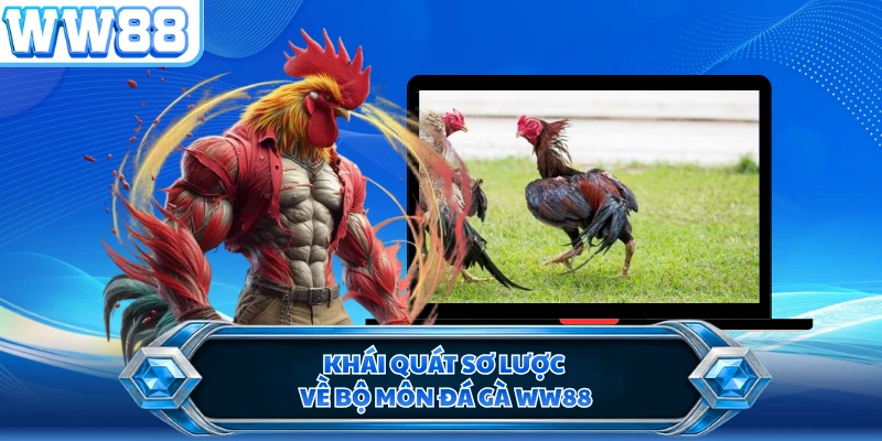 Khái quát sơ lược về bộ môn đá gà WW88