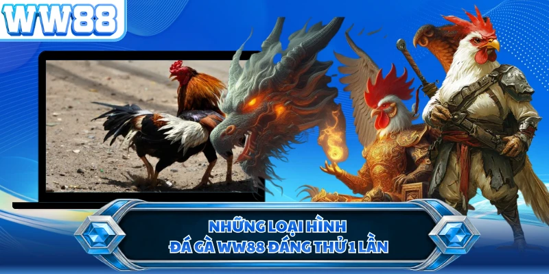 Những loại hình đá gà WW88 đáng thử 1 lần